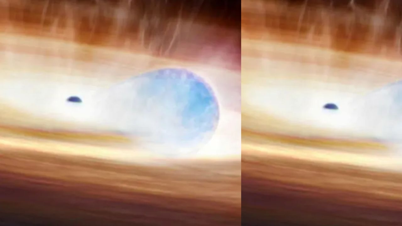 Astronomers Witness Rare Early Dance Between a Supernova and a Black Hole
